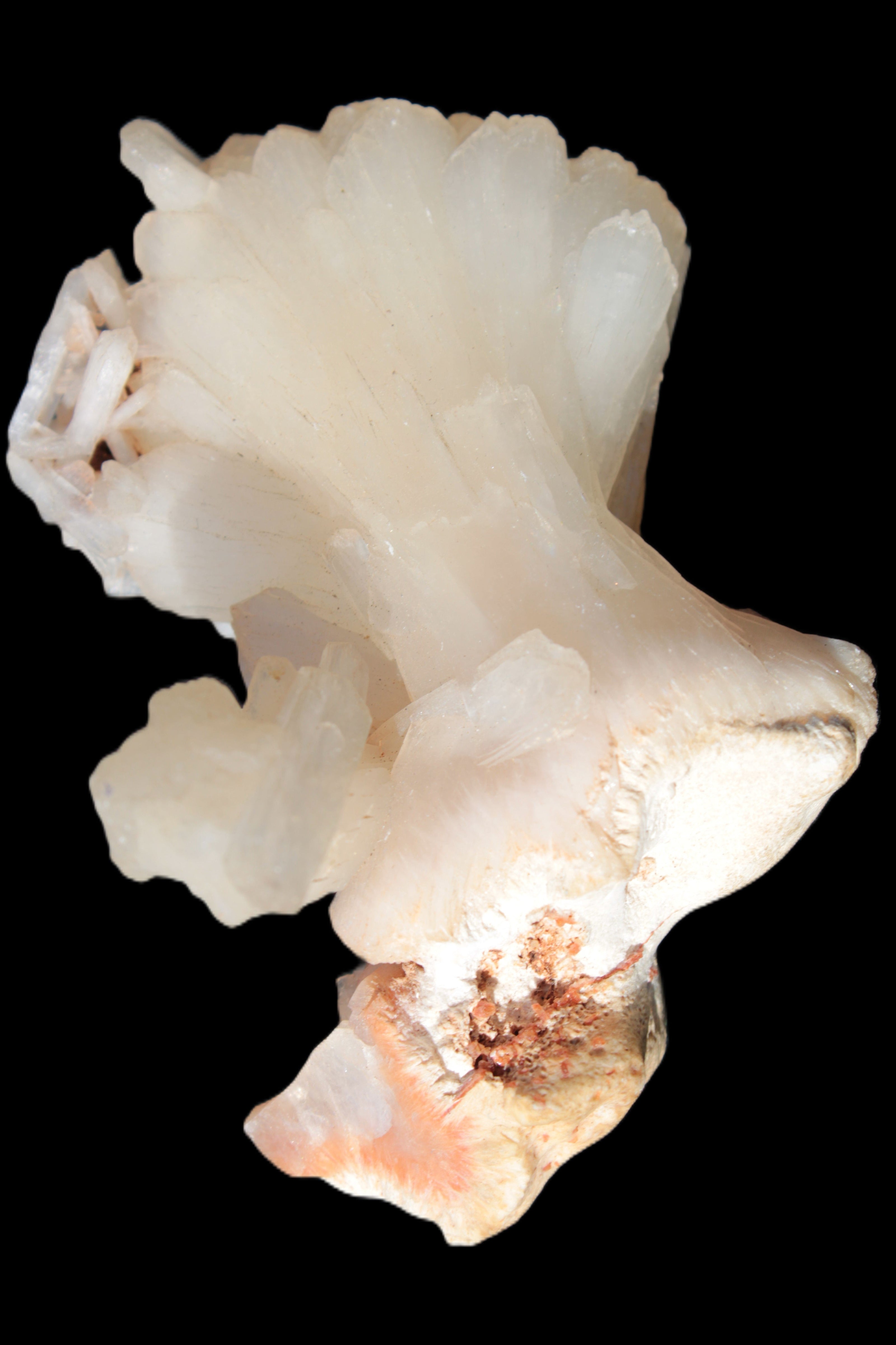 Apophyllite and Calcite Zeolite 77g in sunlight -  Rocks and Things Store