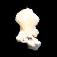 Apophyllite and Calcite Zeolite 77g in sunlight - Rocks and Things Store