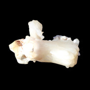 Apophyllite and Calcite Zeolite 77g in sunlight - Rocks and Things Store