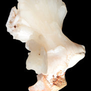 Apophyllite and Calcite Zeolite 77g in sunlight -  Rocks and Things Store