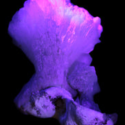 Apophyllite and Calcite Zeolite 77g in UV light -  Rocks and Things Store