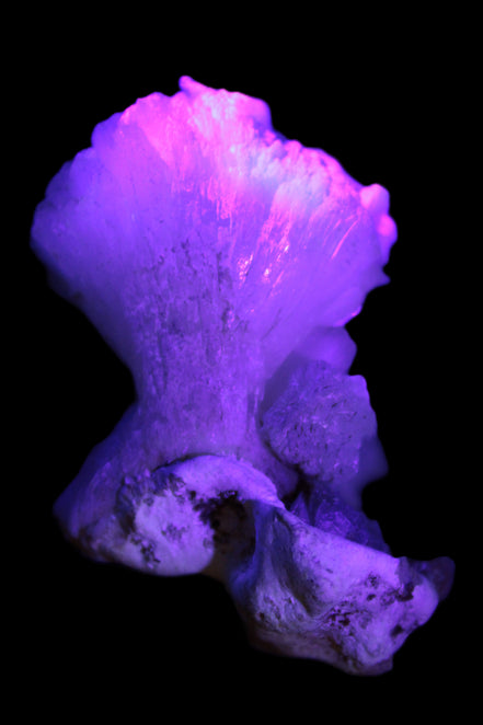 Apophyllite and Calcite Zeolite 77g in UV light -  Rocks and Things Store