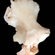 Apophyllite and Calcite Zeolite 77g in sunlight - Rocks and Things Store