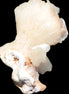 Apophyllite and Calcite Zeolite 77g in sunlight - Rocks and Things Store