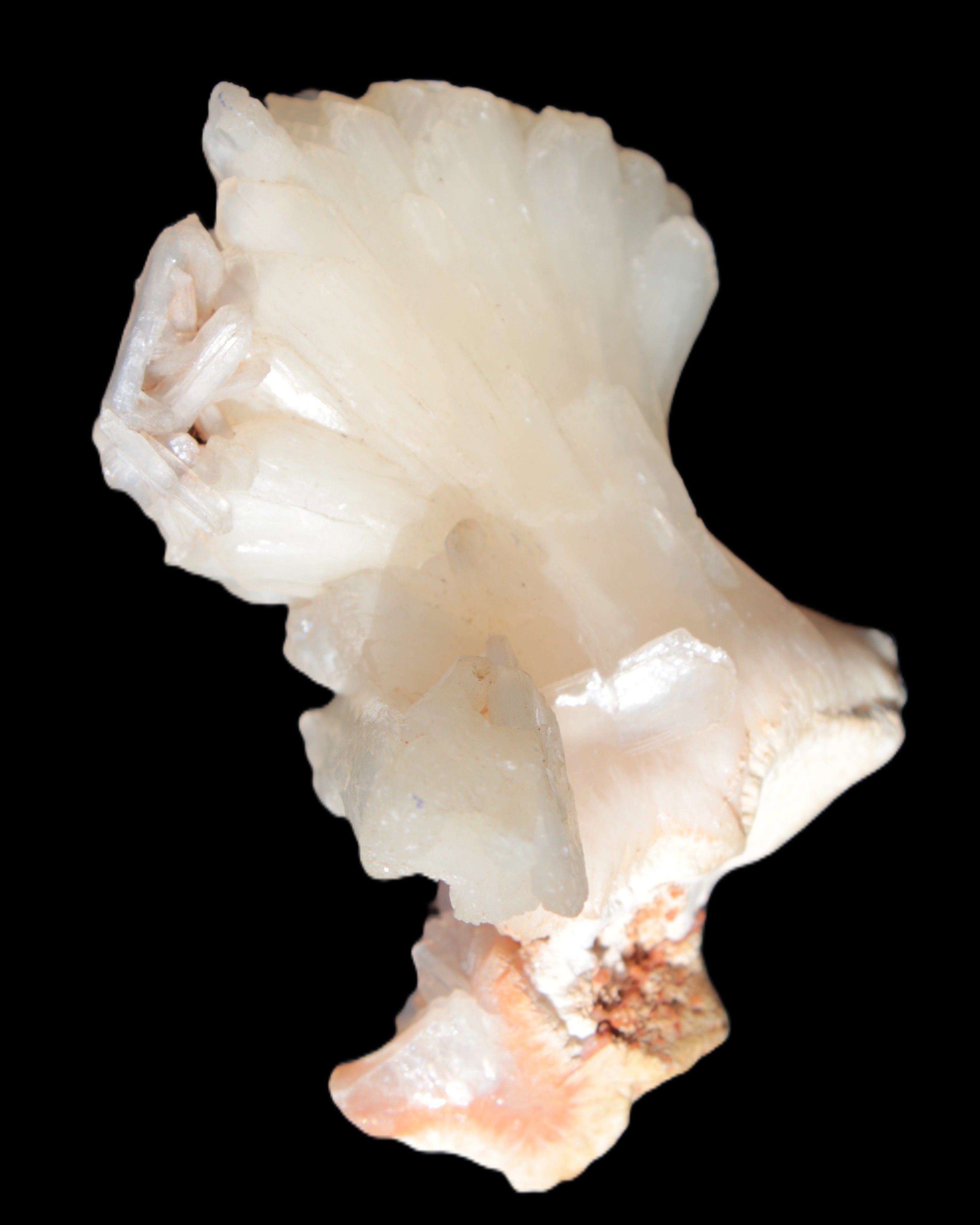 Apophyllite and Calcite Zeolite 77g in sunlight - Rocks and Things Store