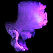 Apophyllite and Calcite Zeolite 77g in UV light - Rocks and Things Store