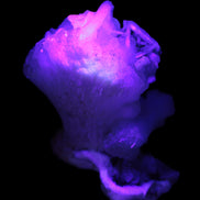 Apophyllite and Calcite Zeolite 77g Rocks and Things