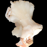 Apophyllite and Calcite Zeolite 77g in sunlight - Rocks and Things Store