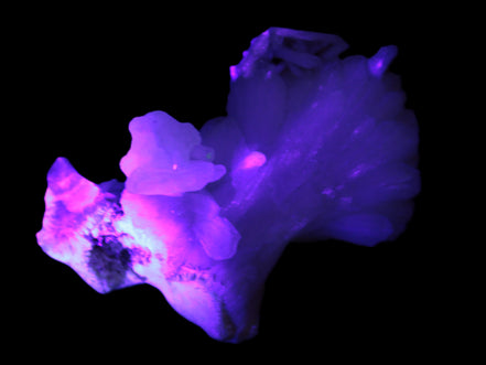 Apophyllite and Calcite Zeolite 77g Rocks and Things