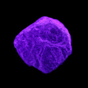 Blue Sapphire (unheated) 41g in UV light - Rocks and Things Store