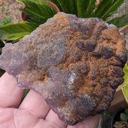 Violet Fluorite cluster 233g Rocks and Things