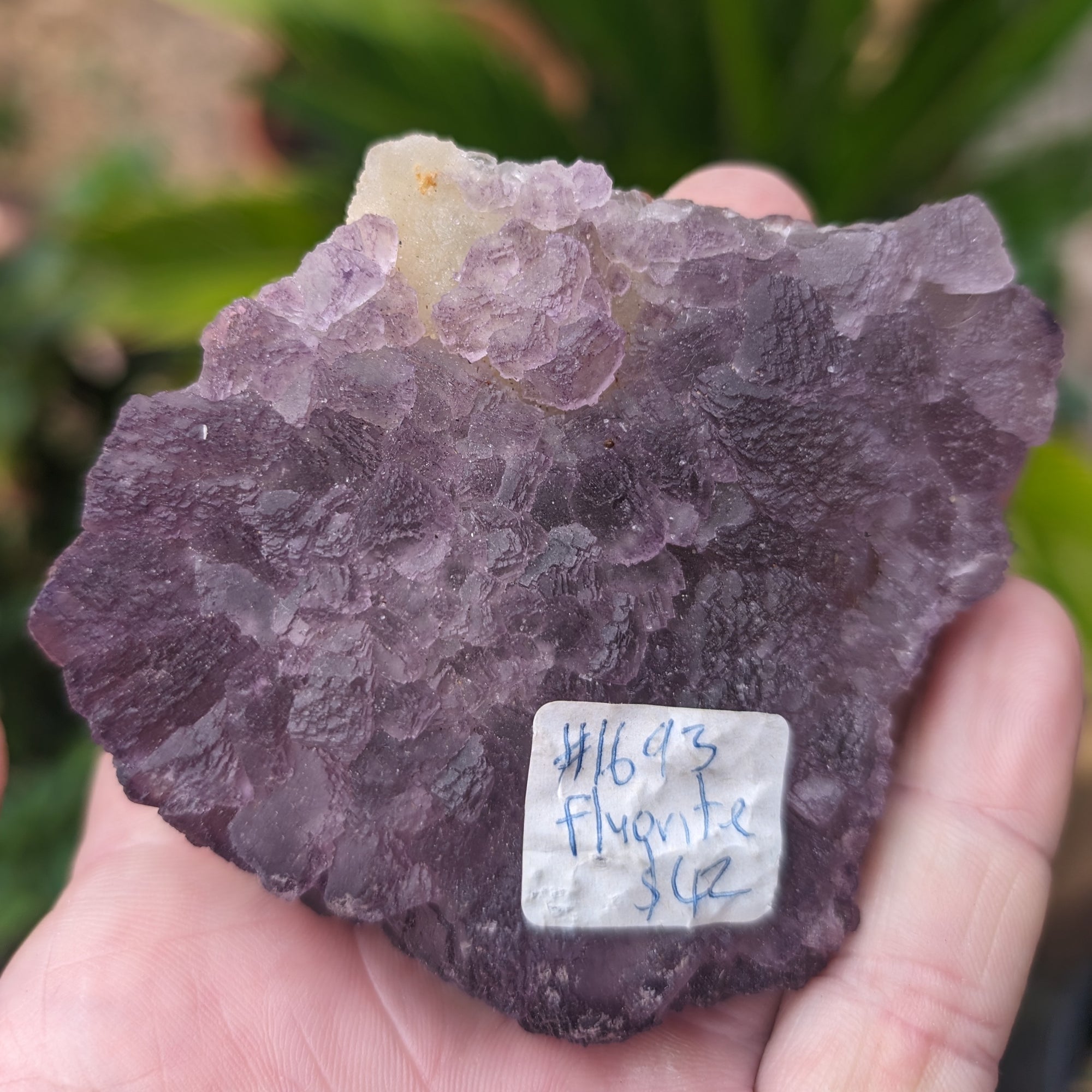 Violet Fluorite cluster 233g Rocks and Things