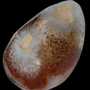 Agate geode 470g Rocks and Things