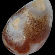 Agate geode 470g Rocks and Things