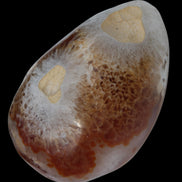 Agate geode 470g Rocks and Things