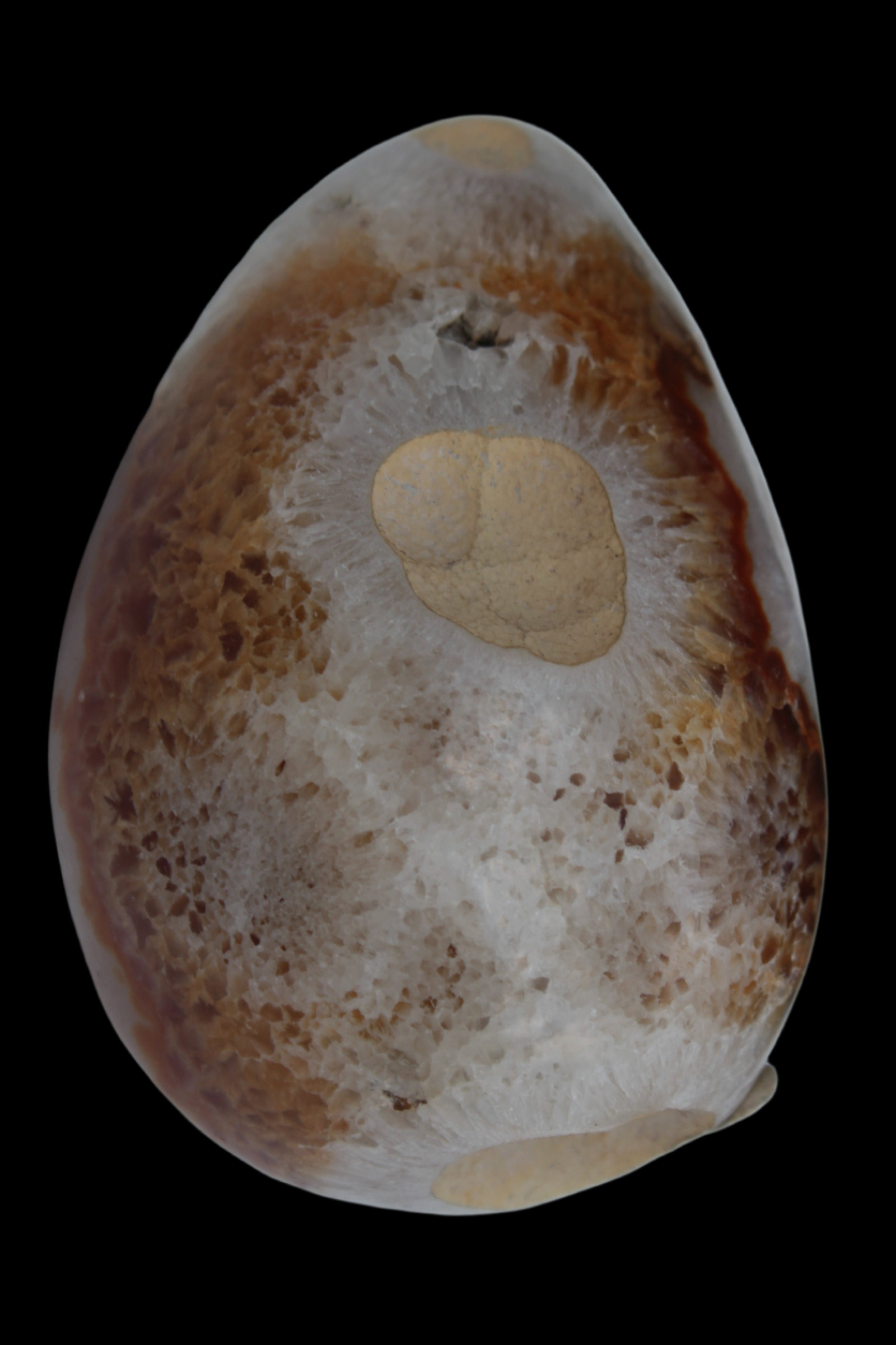 Agate geode 470g Rocks and Things