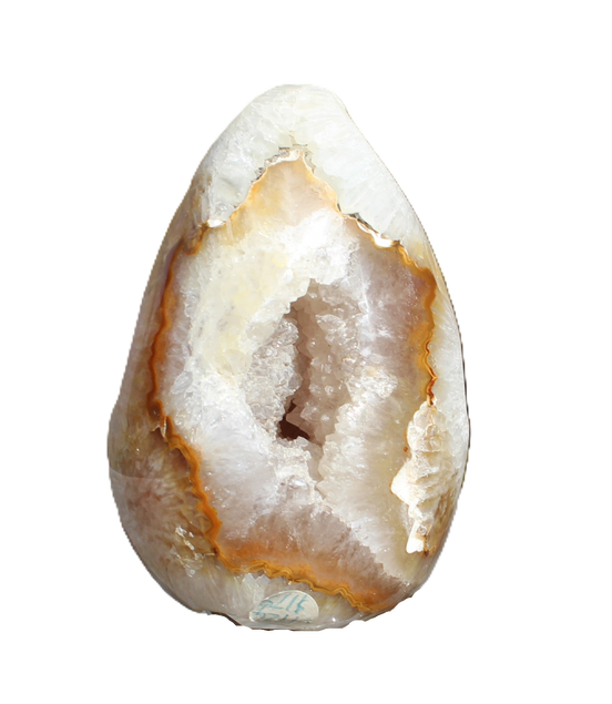 Chocolate Agate geode 470g - Rocks and Things Store