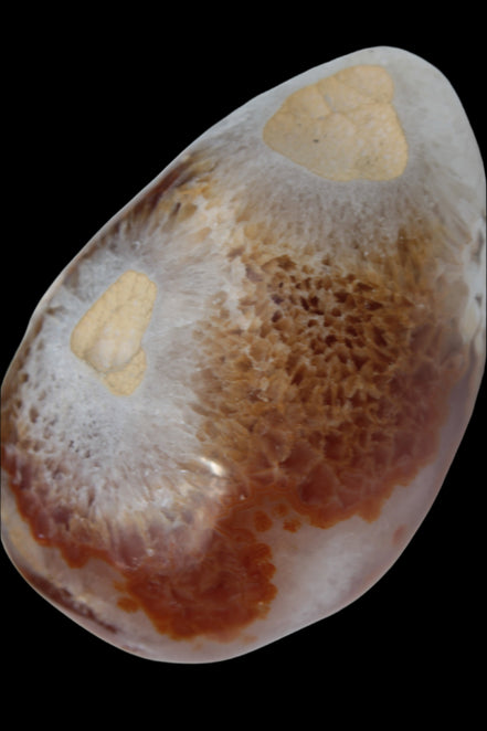 Agate geode 470g Rocks and Things