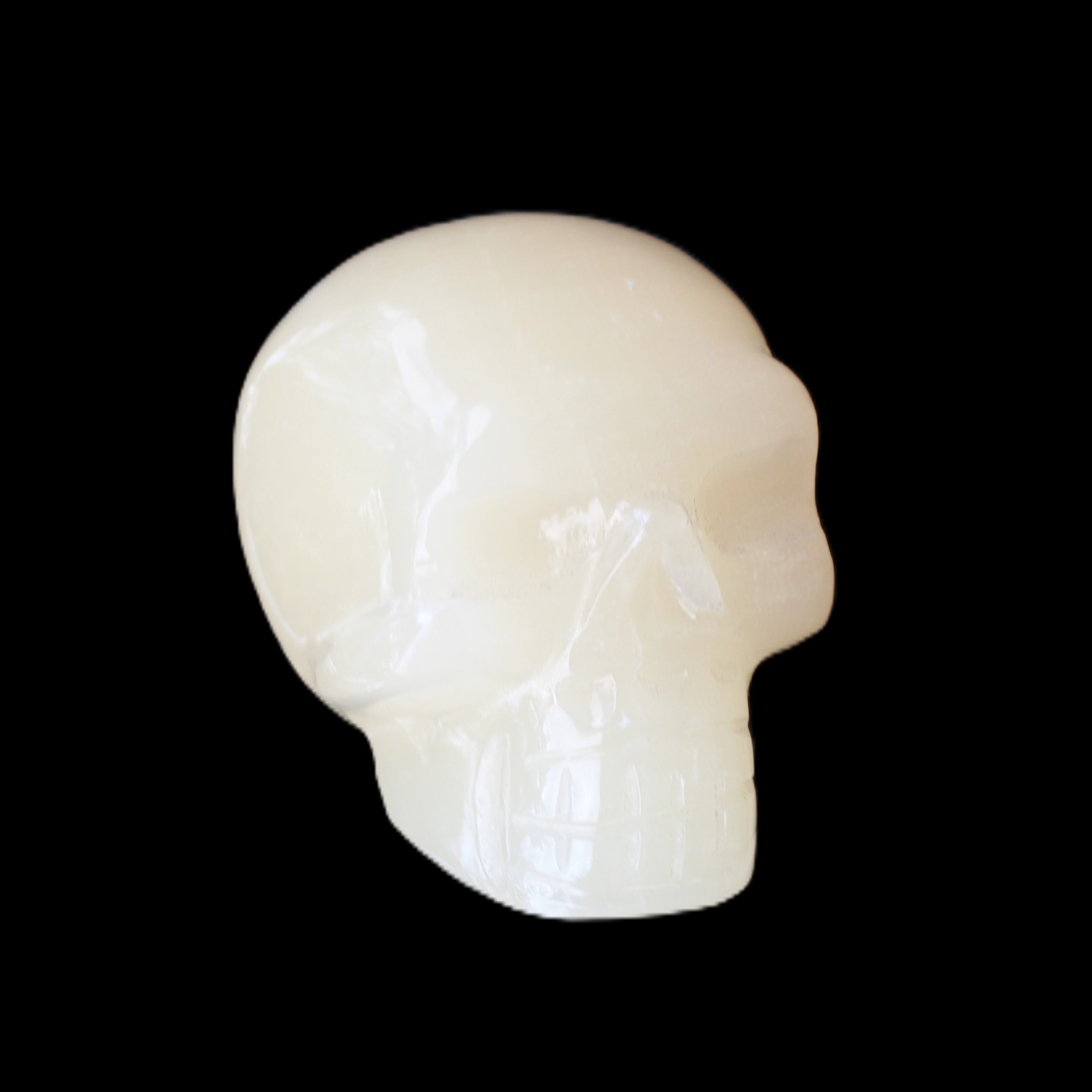 Honey Calcite skull hand-carved 55*47*38mm 183g in sunlight - Rocks and Things Store