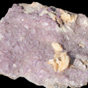 Purple Fluoritewith Calcite angel wings cluster 128g Rocks and Things