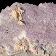 Purple Fluoritewith Calcite angel wings cluster 128g Rocks and Things