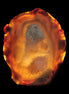 Agate geode slice 546g - Rocks and Things Store
