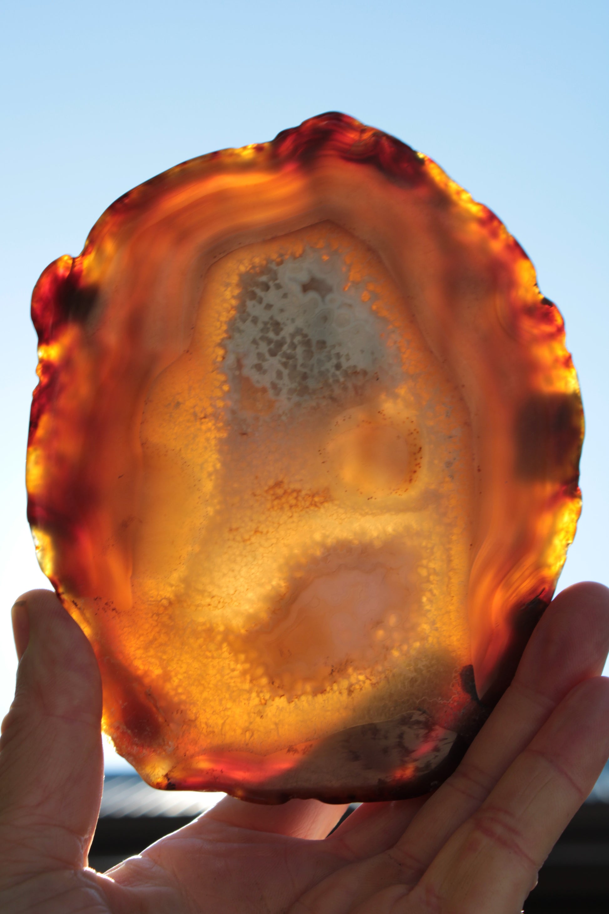 Agate geode slice 546g Rocks and Things