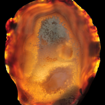 Agate geode slice 546g - Rocks and Things Store