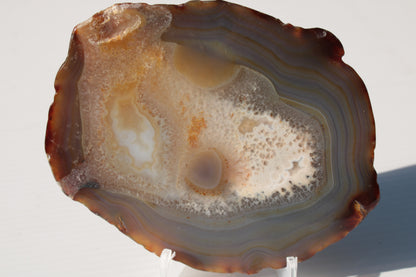 Agate geode slice 546g Rocks and Things