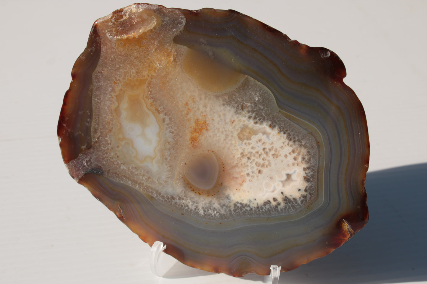 Agate geode slice 546g Rocks and Things