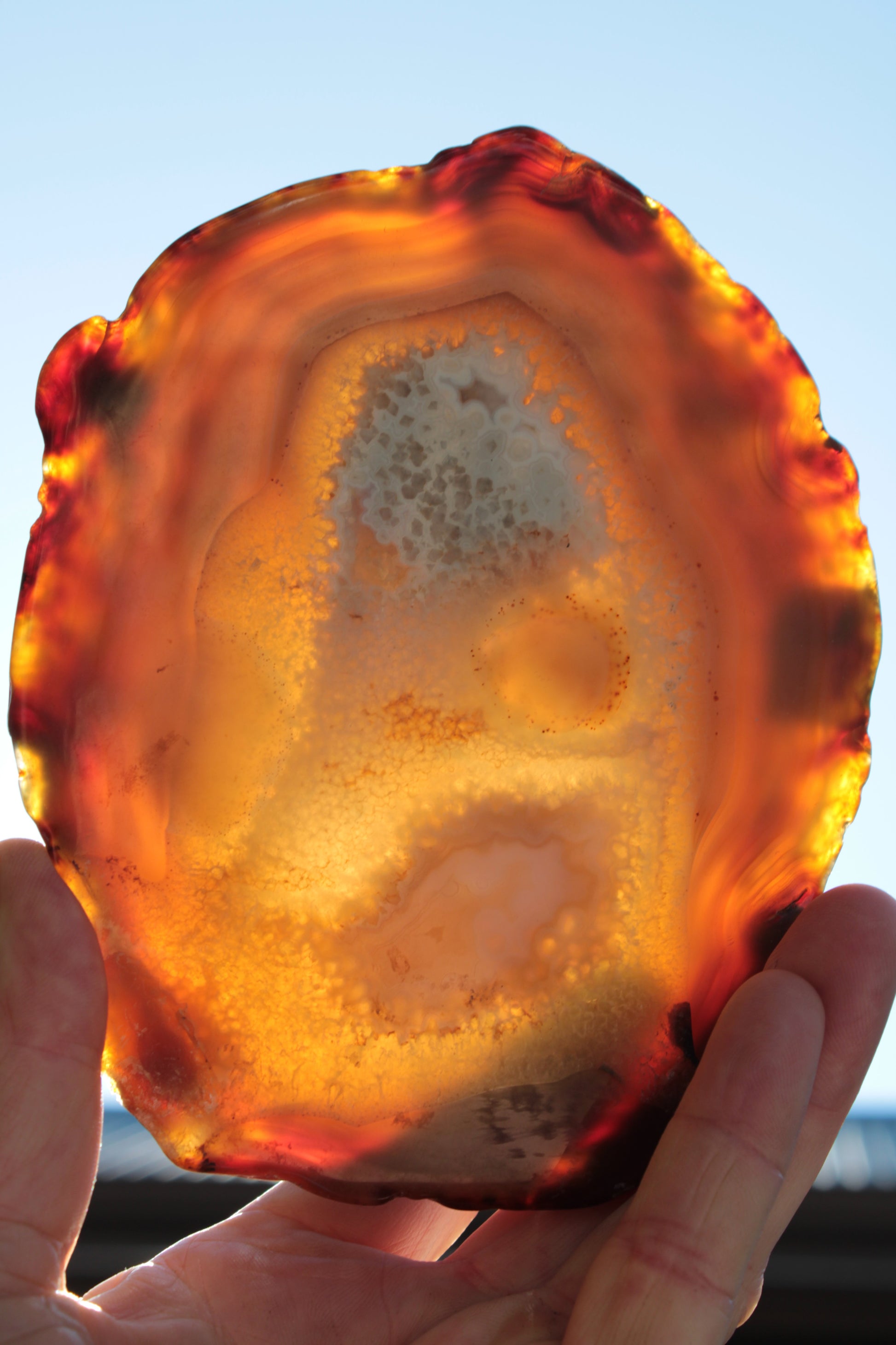 Agate geode slice 546g Rocks and Things