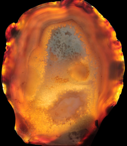 Agate geode slice 546g - Rocks and Things Store