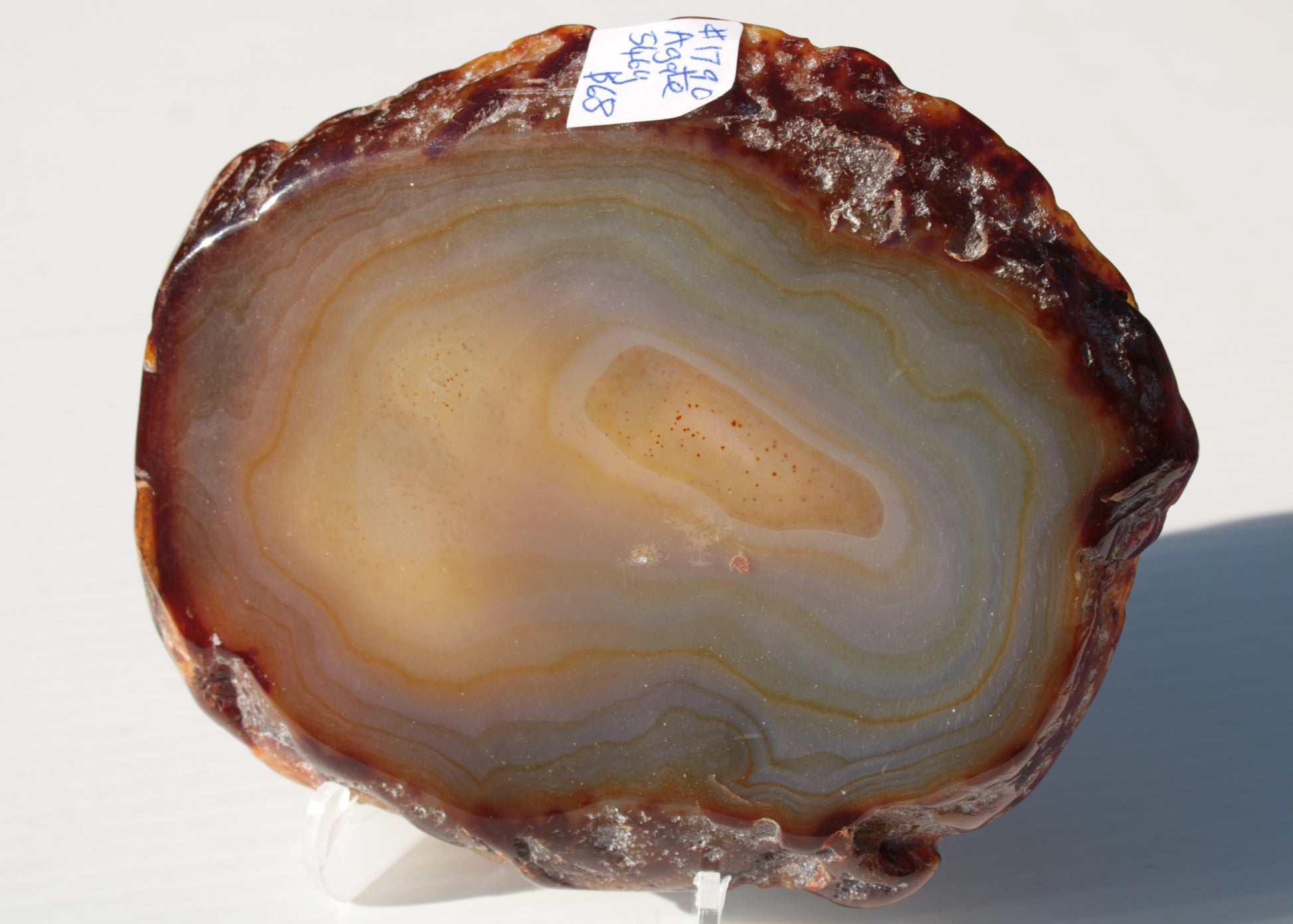 Agate geode slice 546g Rocks and Things