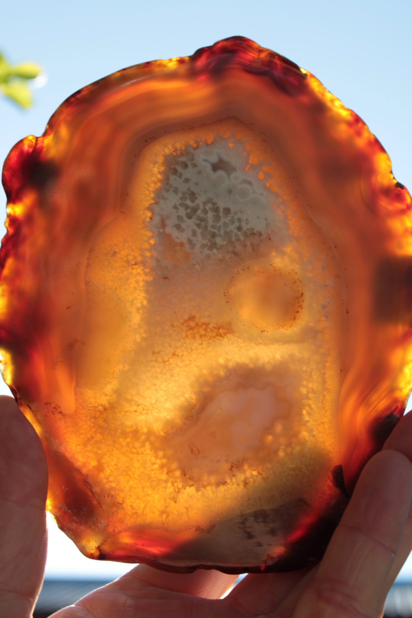 Agate geode slice 546g Rocks and Things