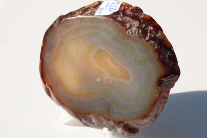 Agate geode slice 546g Rocks and Things