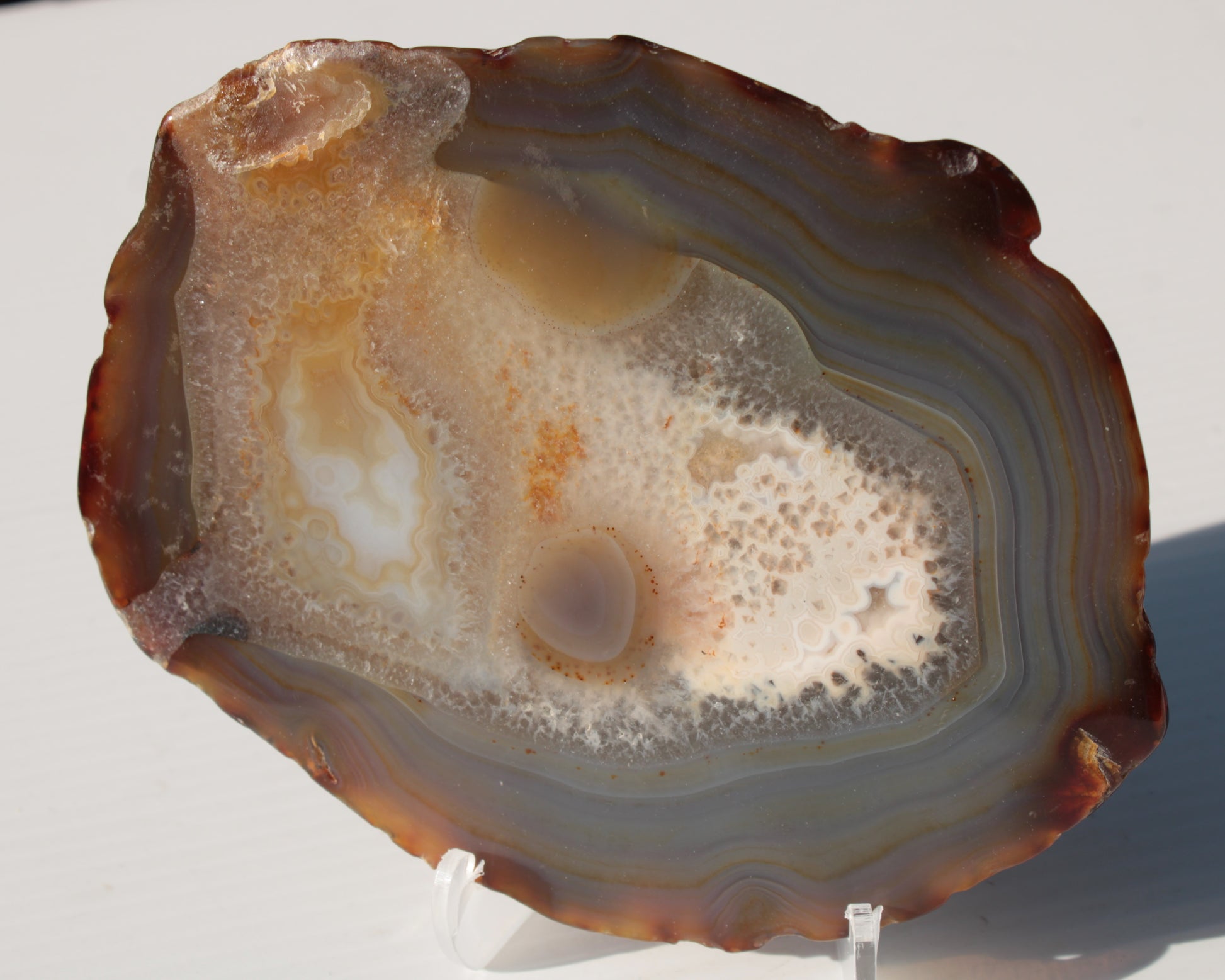 Agate geode slice 546g Rocks and Things