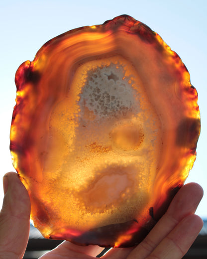 Agate geode slice 546g Rocks and Things