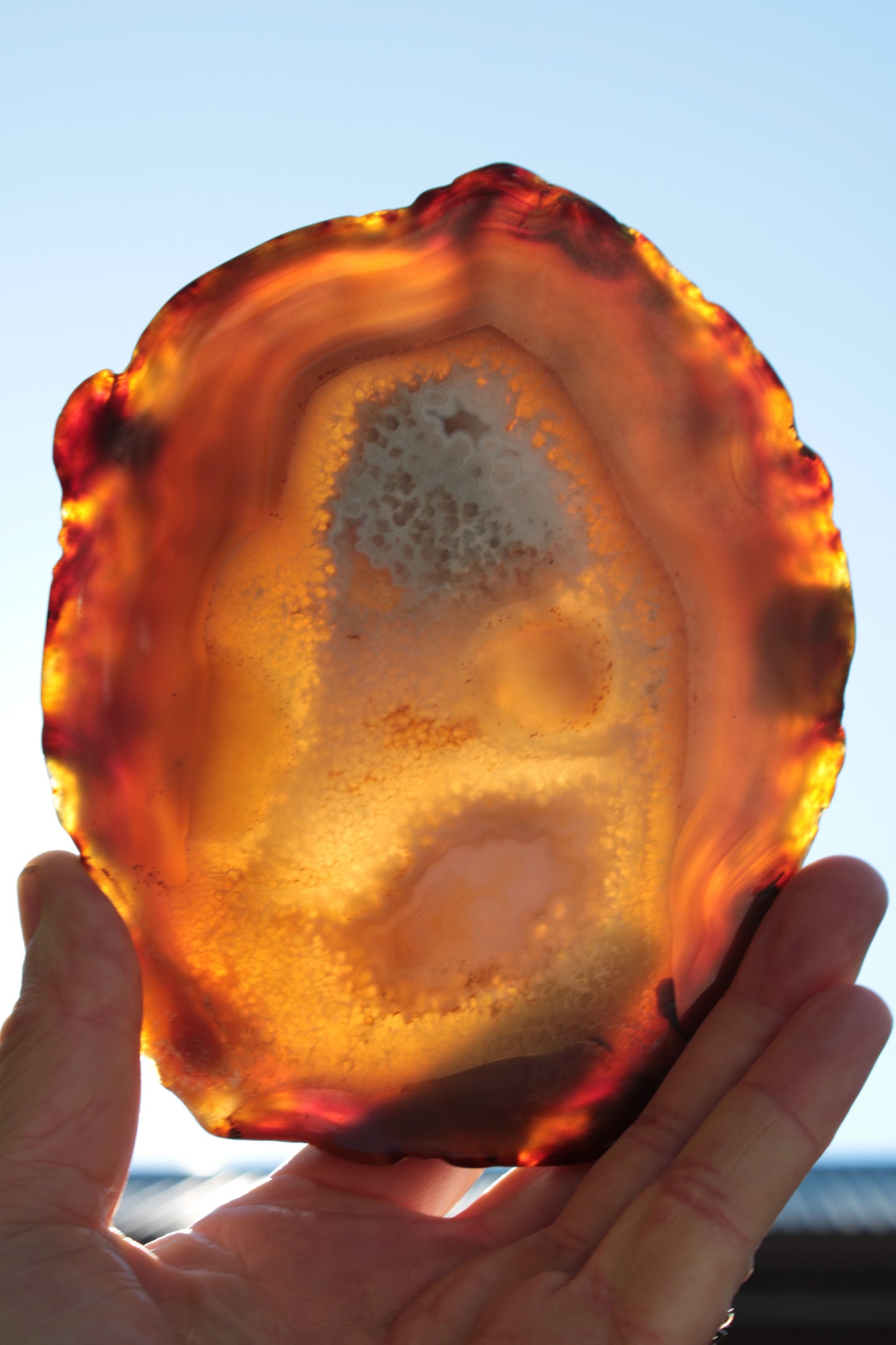 Agate geode slice 546g Rocks and Things