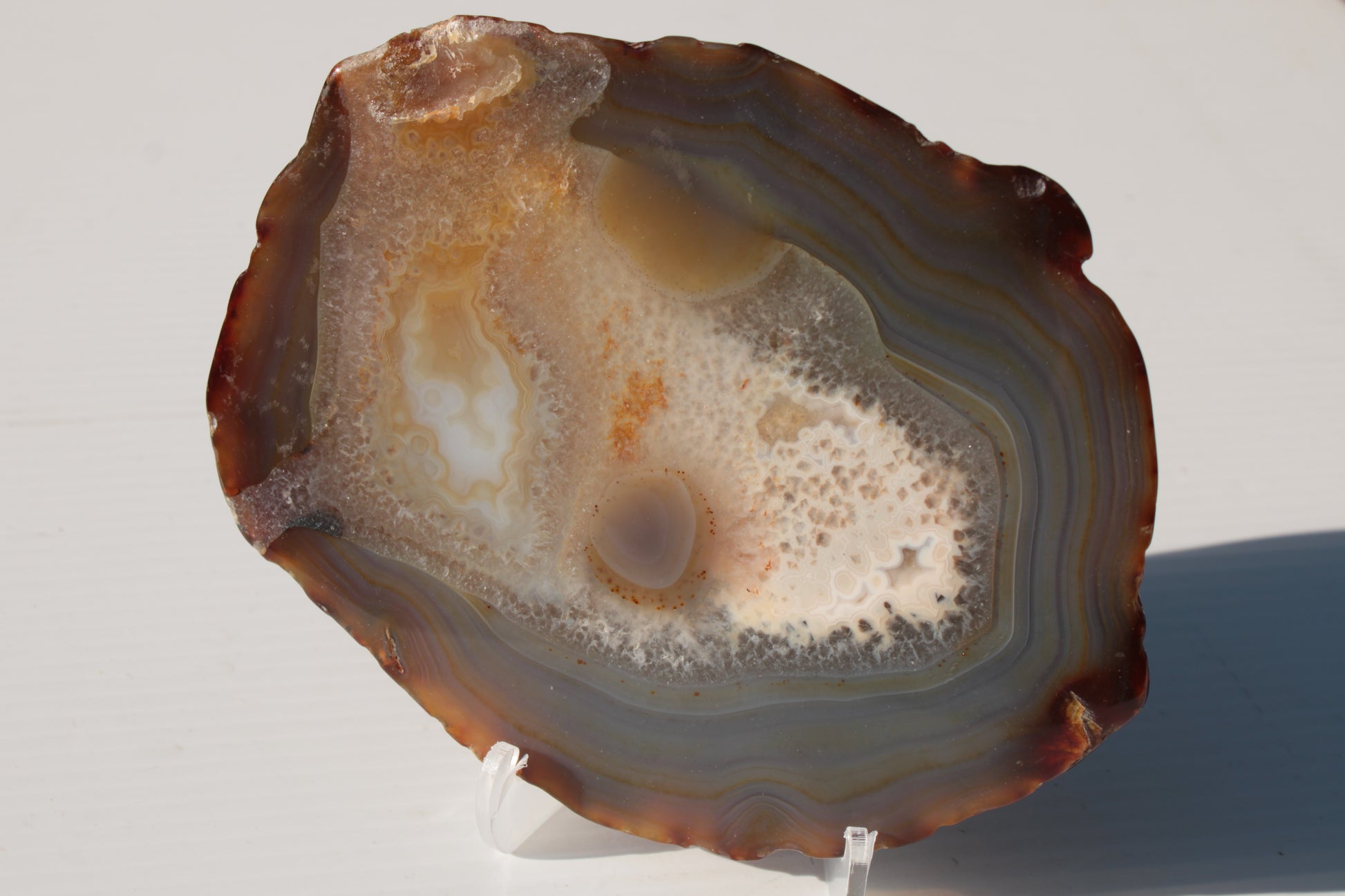 Agate geode slice 546g Rocks and Things