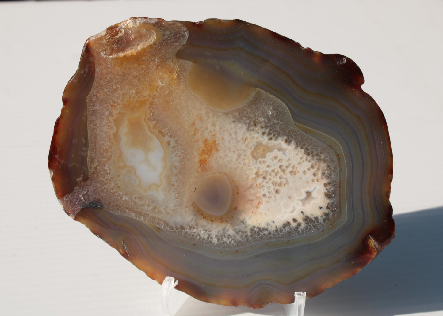 Agate geode slice 546g Rocks and Things