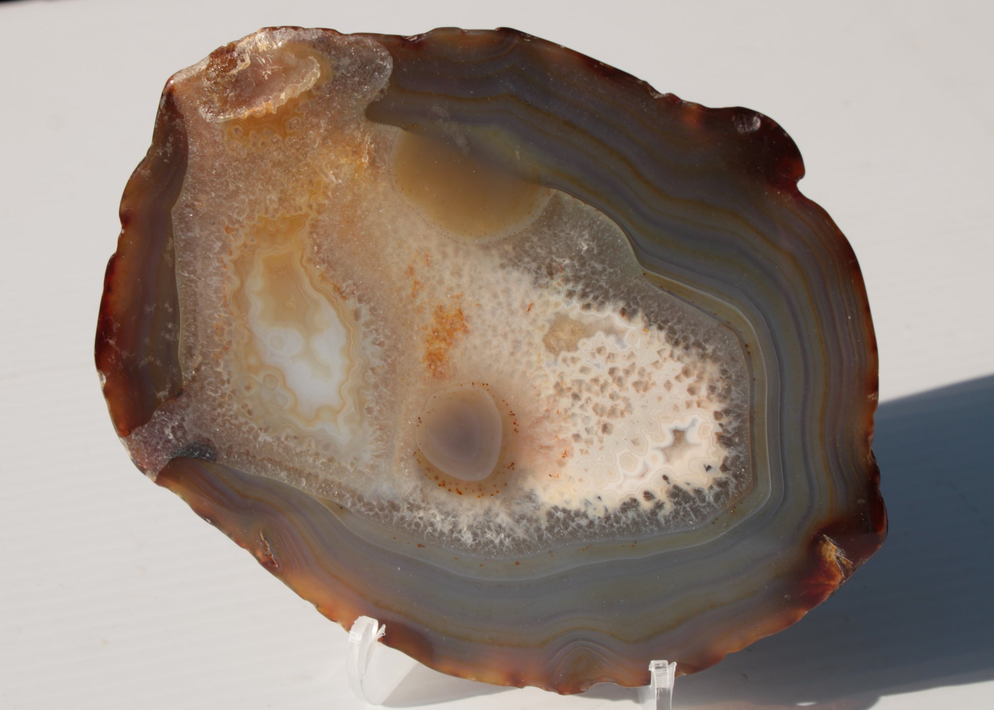 Agate geode slice 546g Rocks and Things