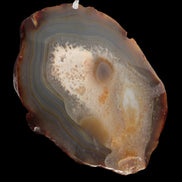 Agate geode slice 546g - Rocks and Things Store
