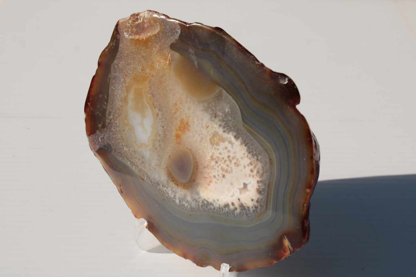 Agate geode slice 546g Rocks and Things