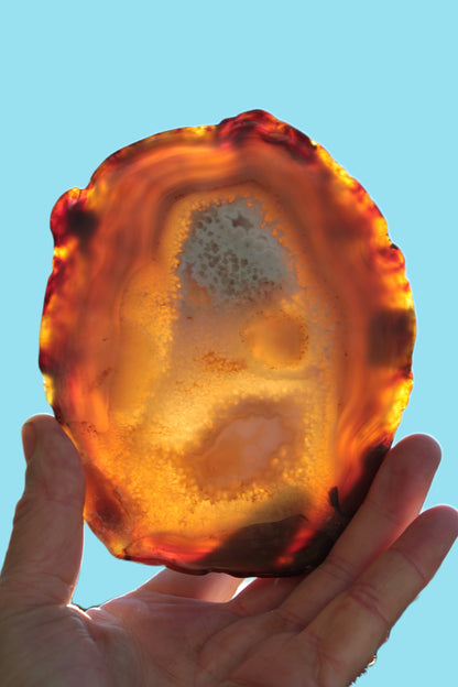 Agate geode slice 546g Rocks and Things