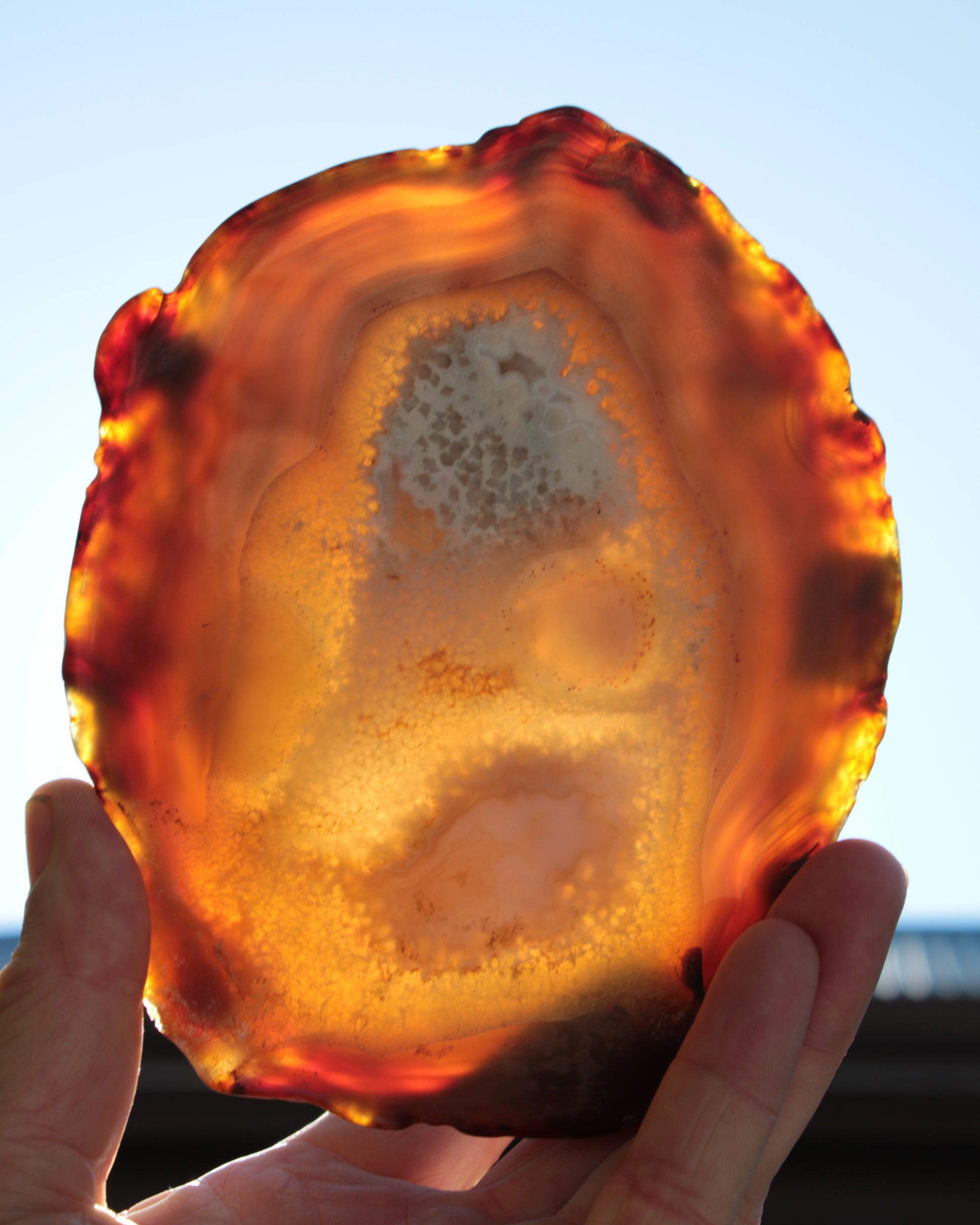 Agate geode slice 546g Rocks and Things