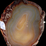 Agate geode slice 546g Rocks and Things