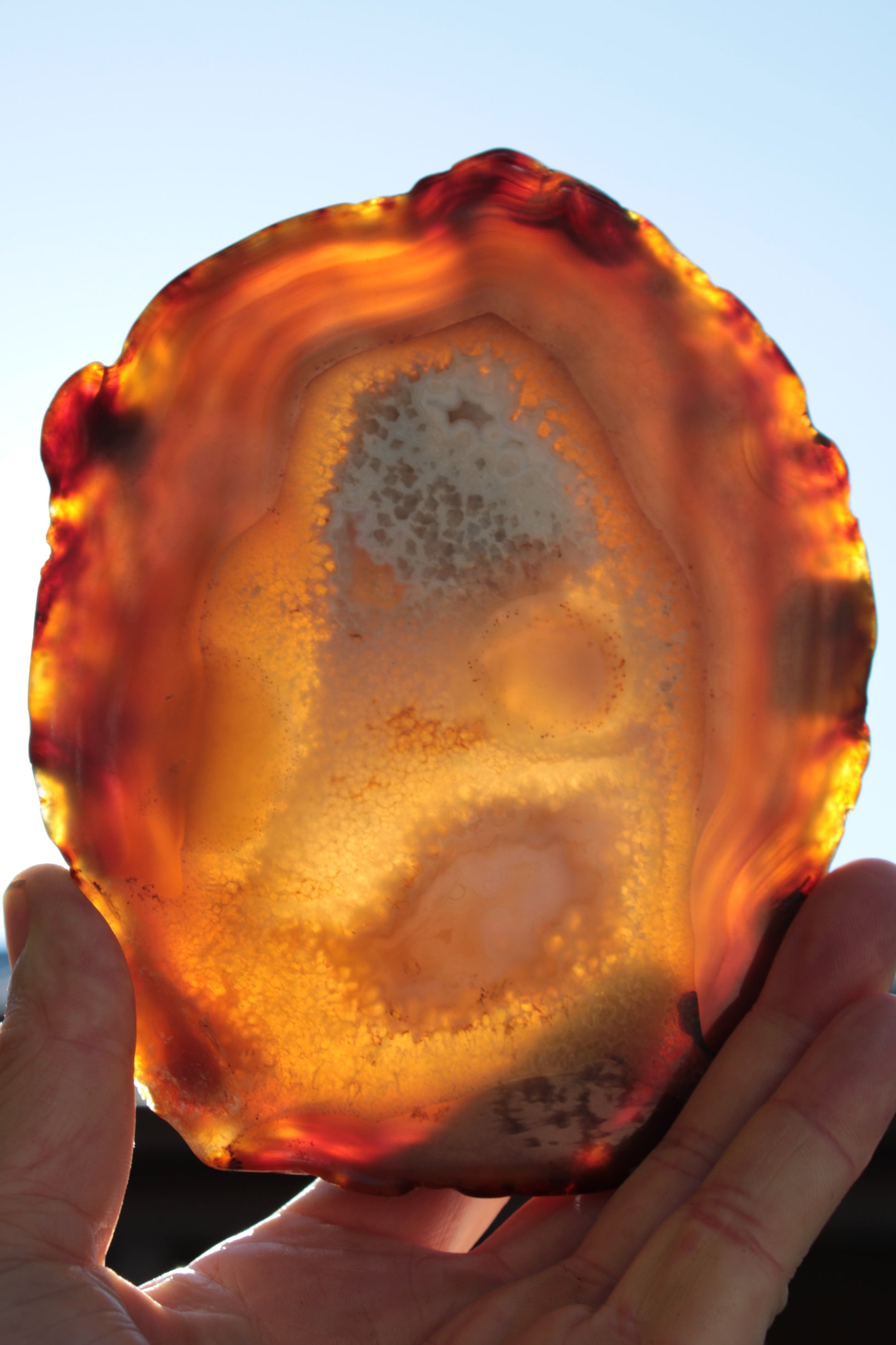 Agate geode slice 546g Rocks and Things