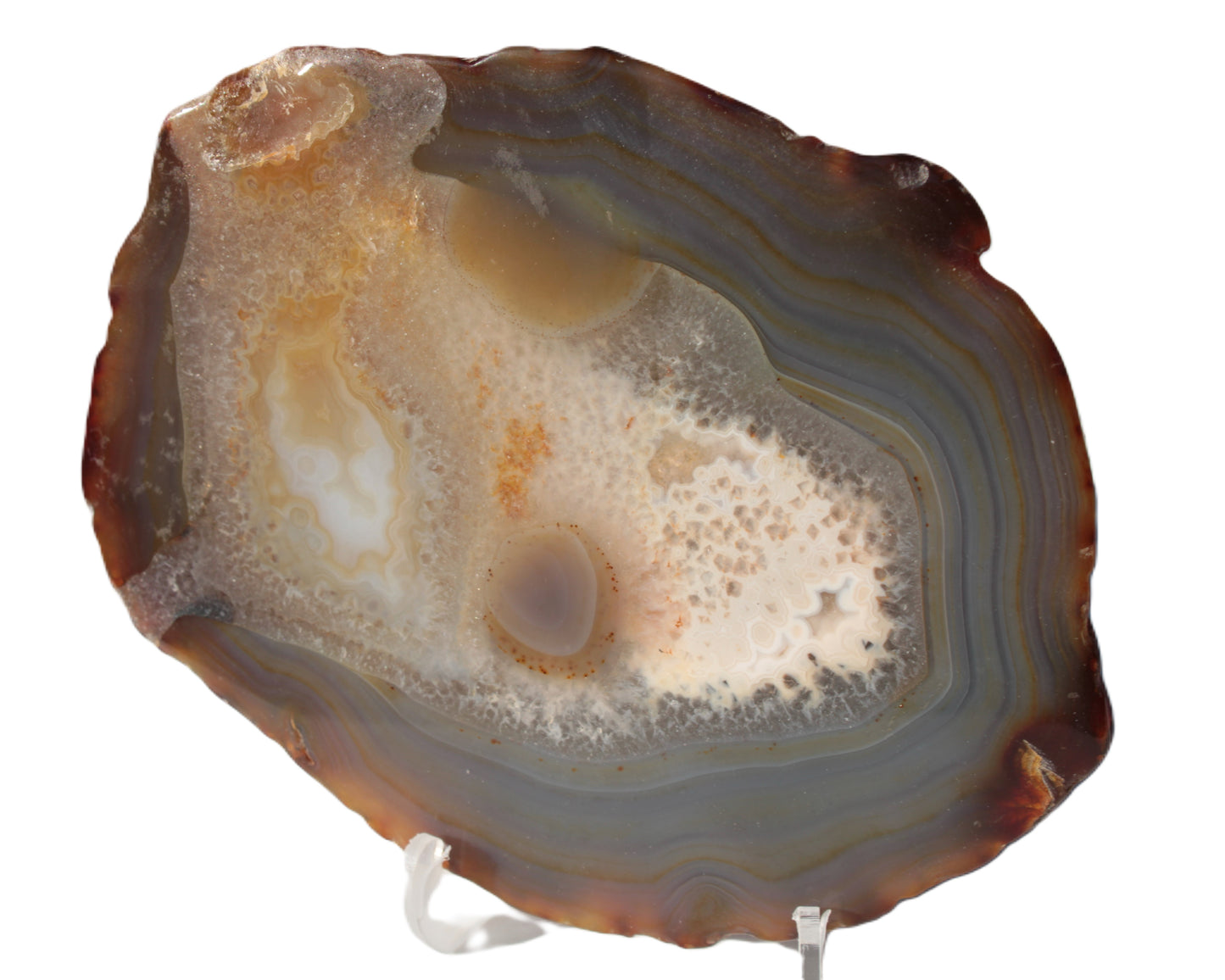 Agate geode slice 546g Rocks and Things