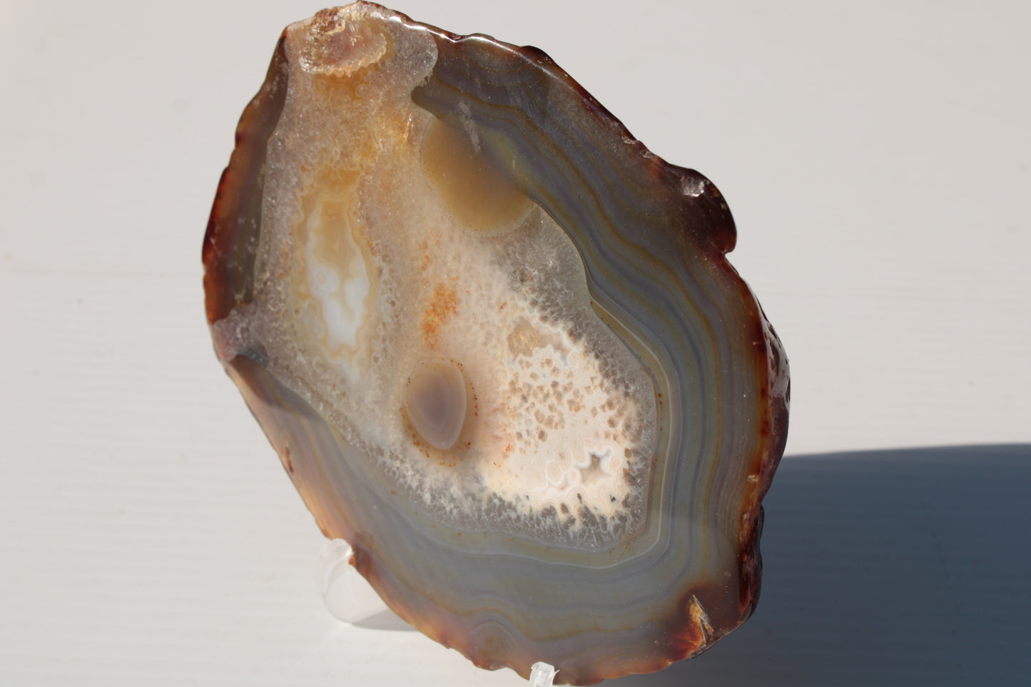 Agate geode slice 546g Rocks and Things