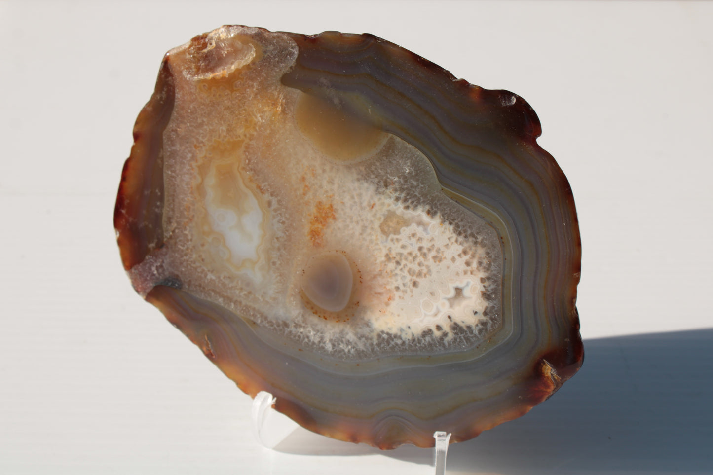 Agate geode slice 546g Rocks and Things